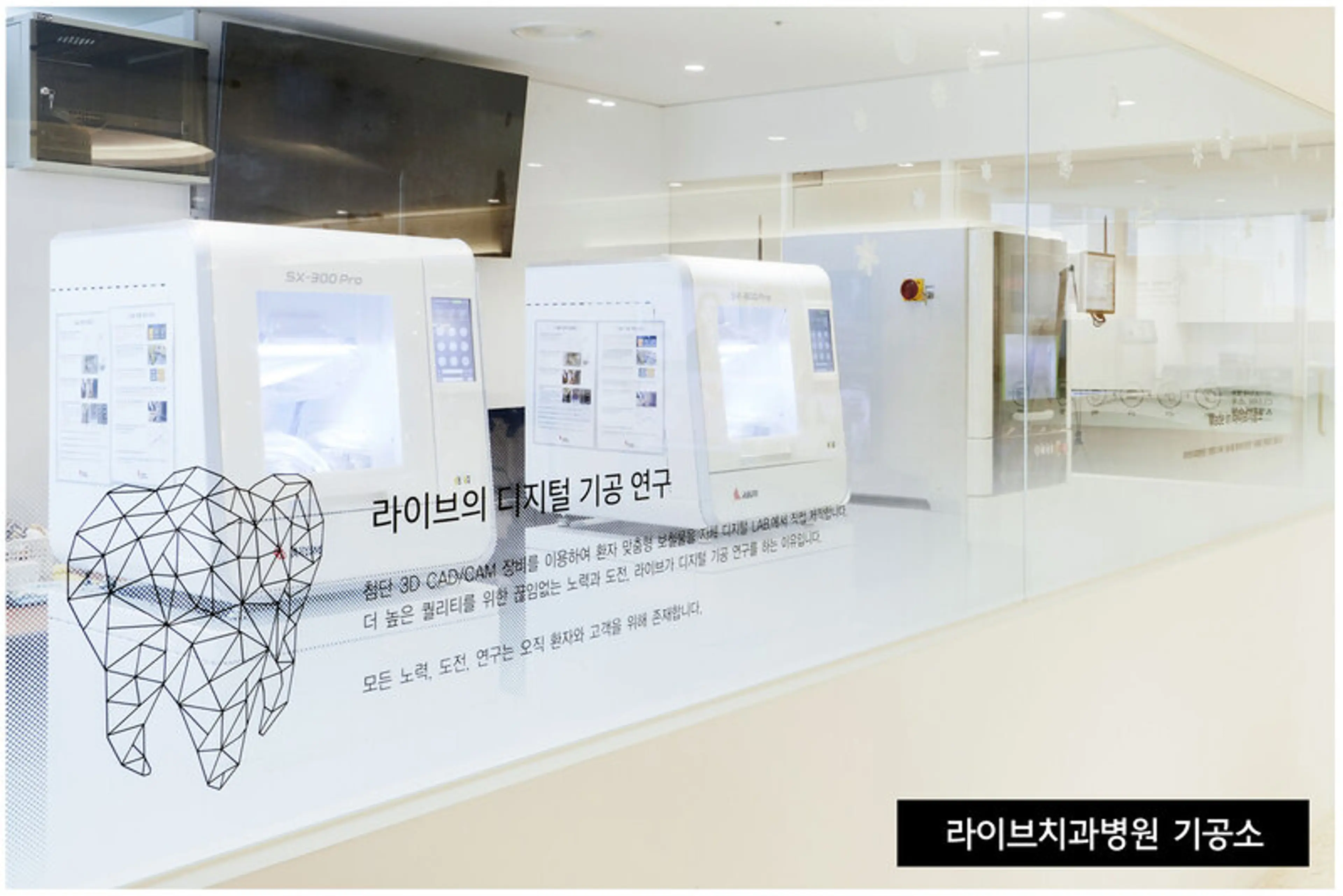 라이브치과병원 - 15