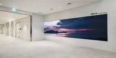 레브치과의원 병원 정보 이미지