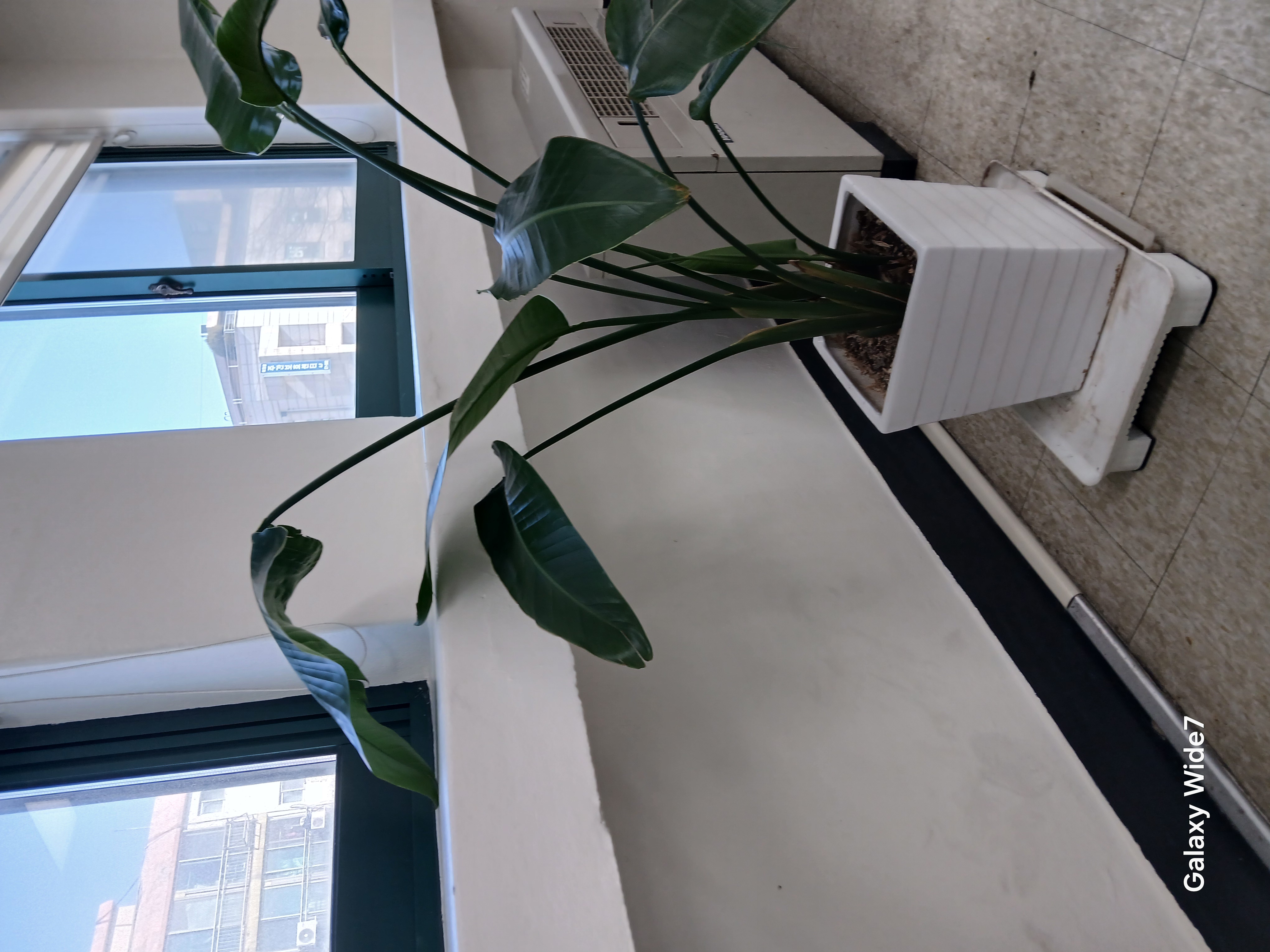 탑페이스성형외과 병원 정보 이미지