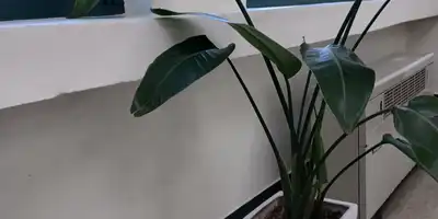 ํํ์ด์ค์ฑํ์ธ๊ณผ ๋ณ์ ์ ๋ณด ์ด๋ฏธ์ง