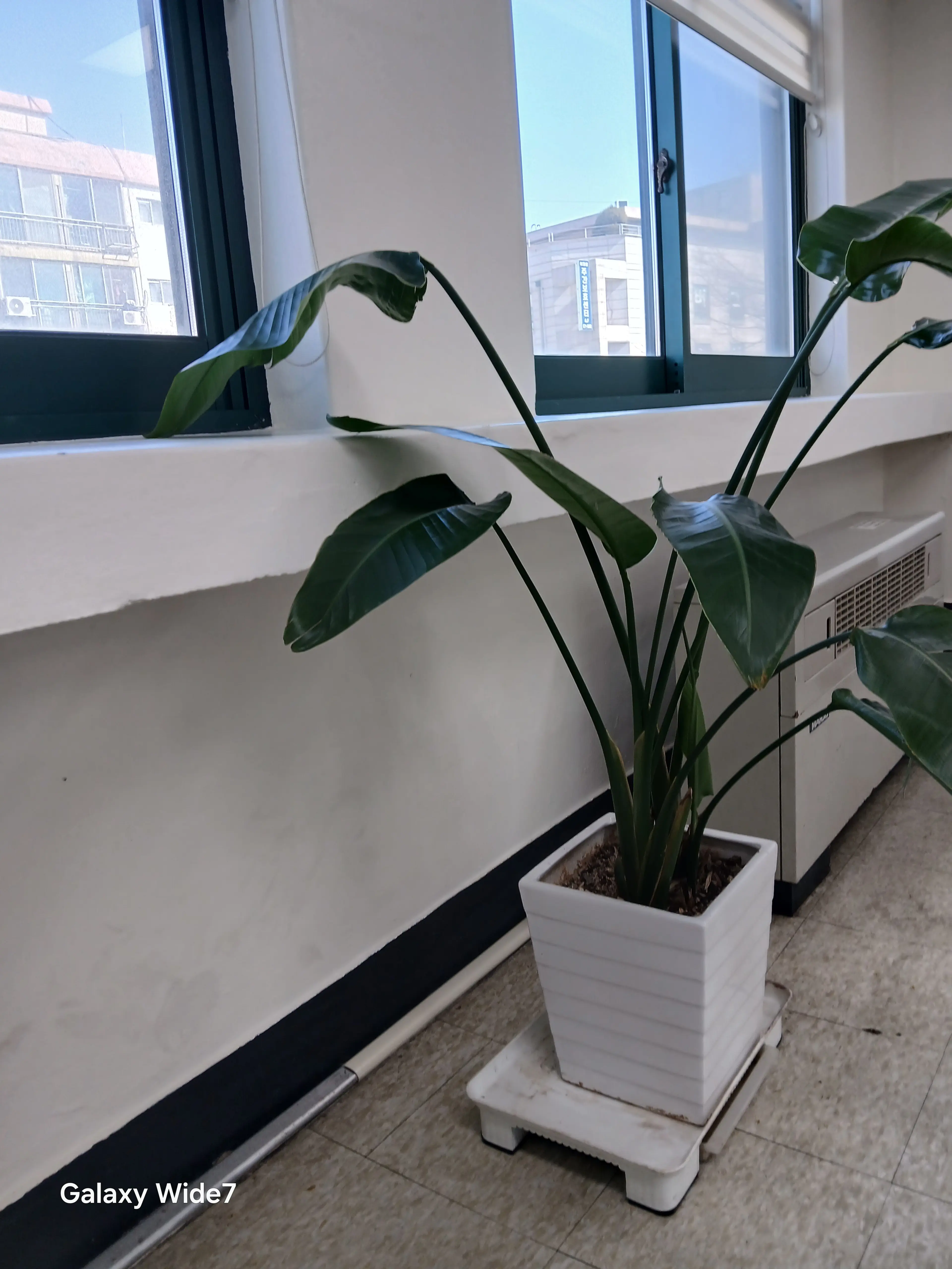 탑페이스성형외과 - 7