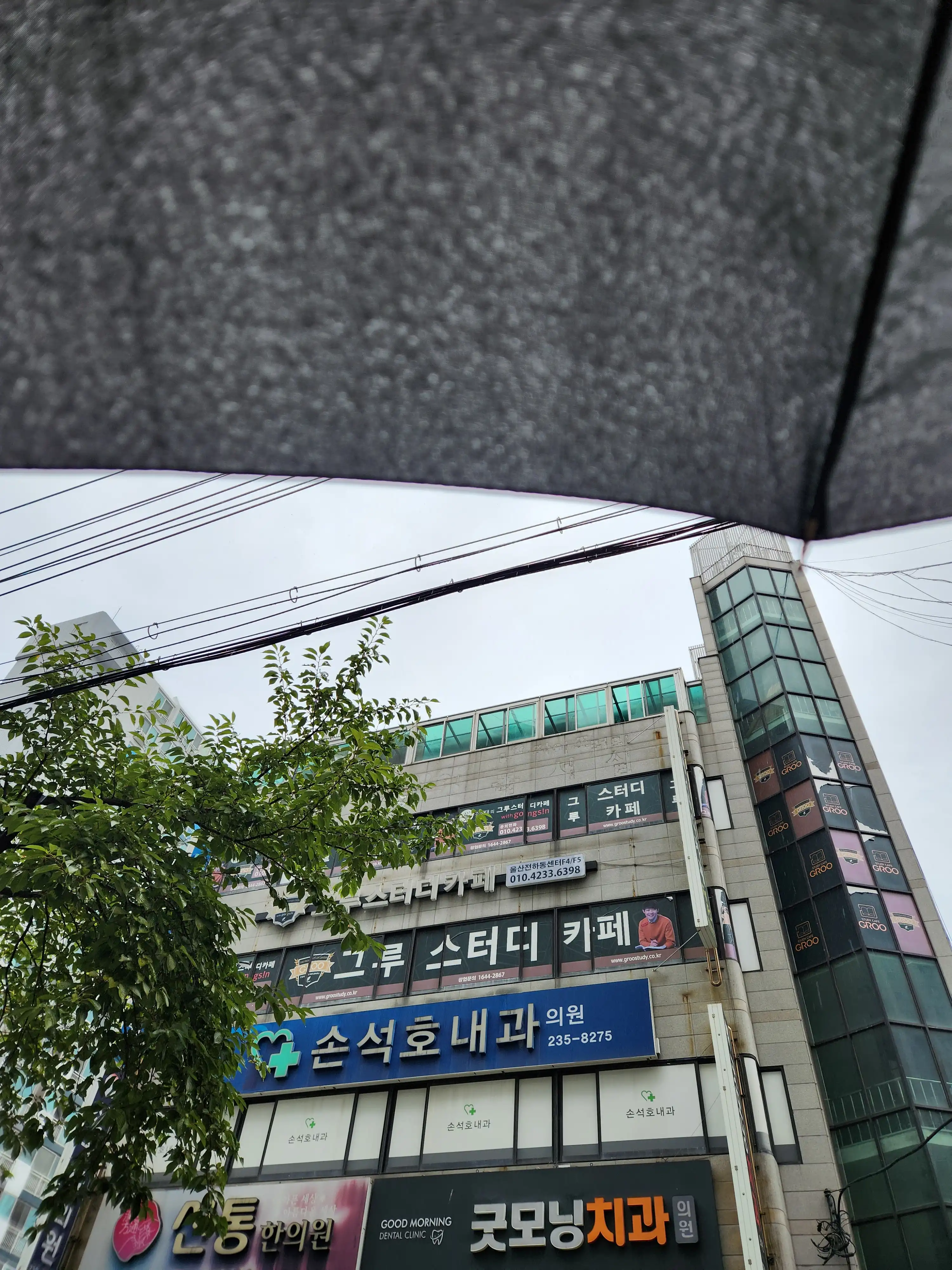 Son Seok-ho Internal Medicine Clinic 2