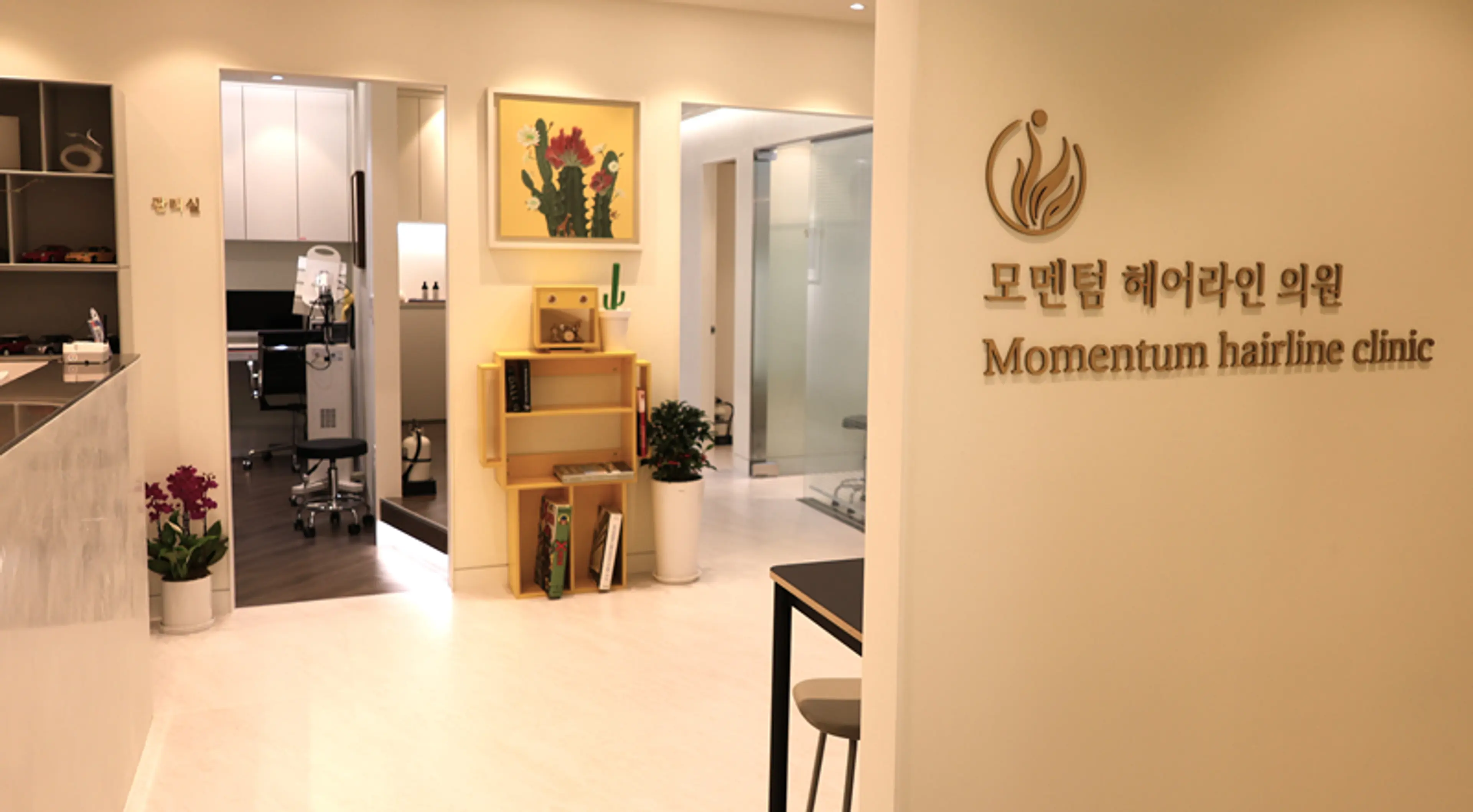 모멘텀헤어라인의원 - 1