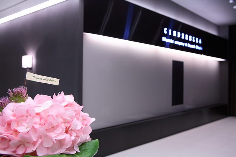 Cinderella Plastic Surgery Clinic 병원 정보 이미지