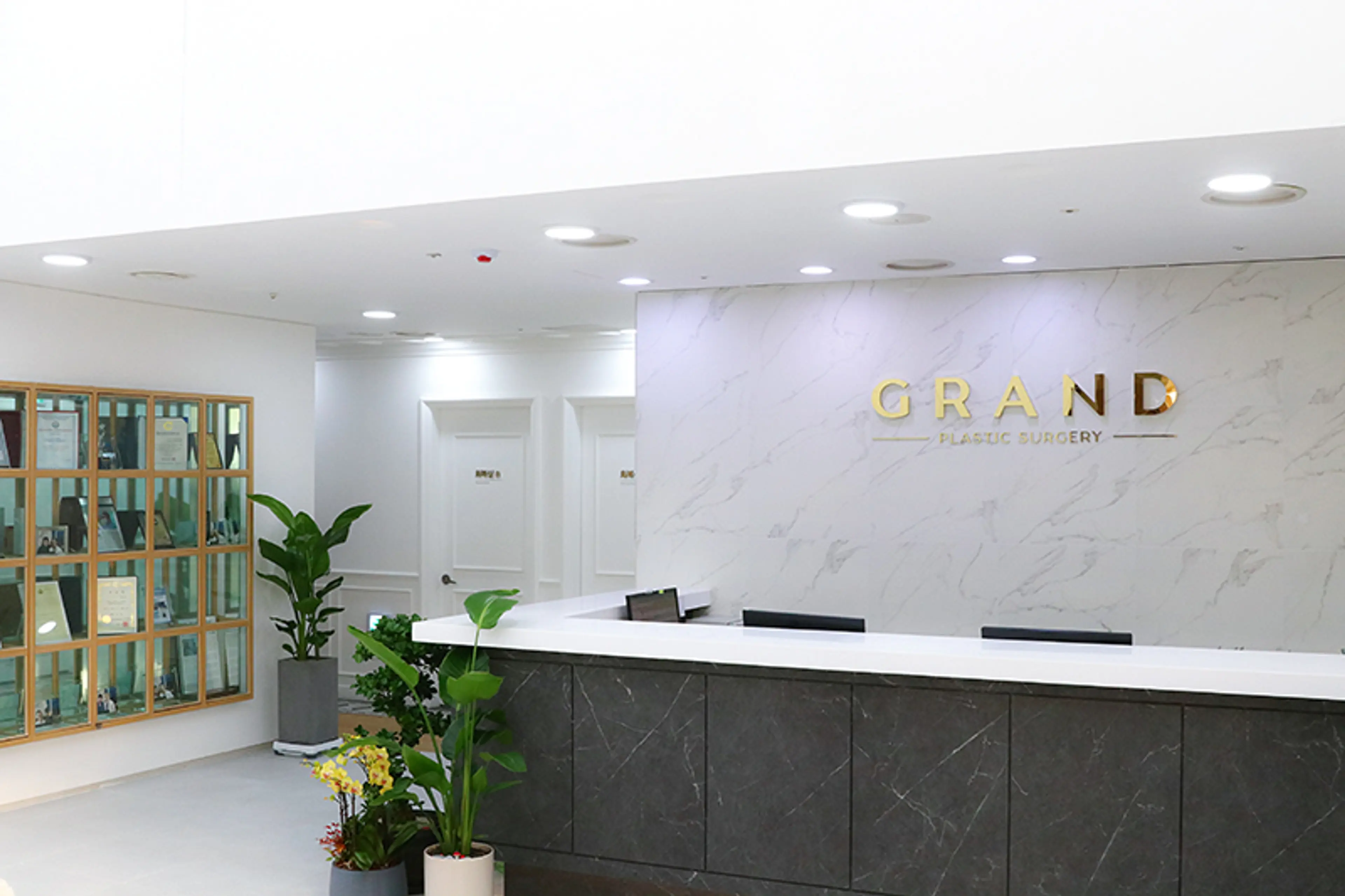 그랜드성형외과 - 1