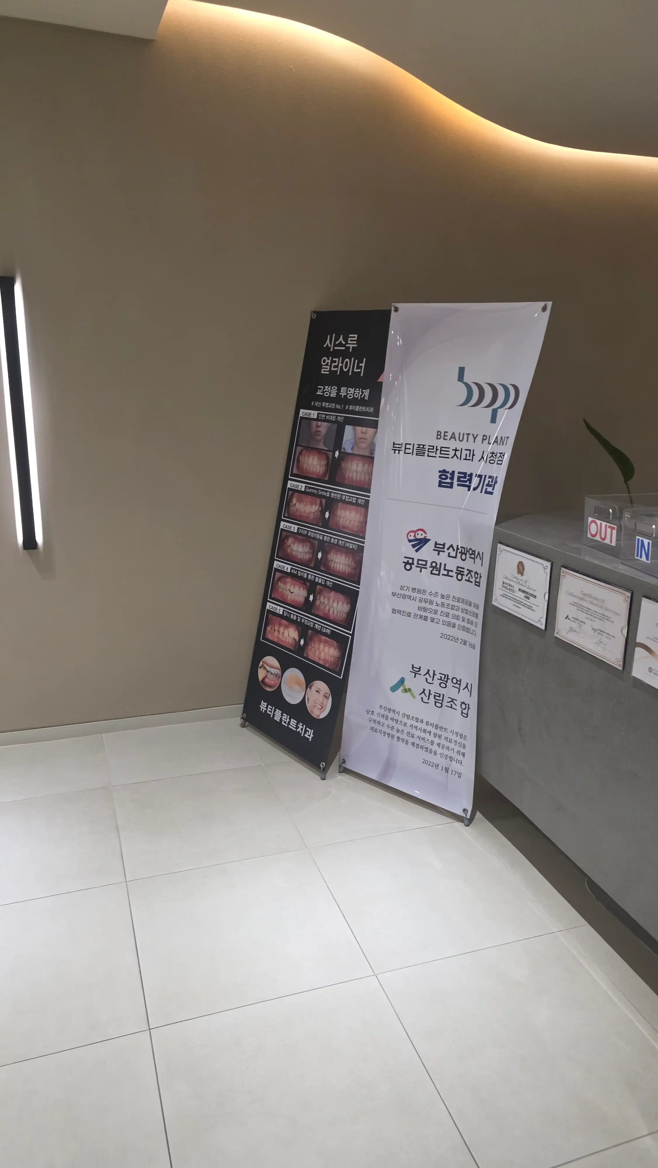 Beautiful Plant Dental Clinic 2