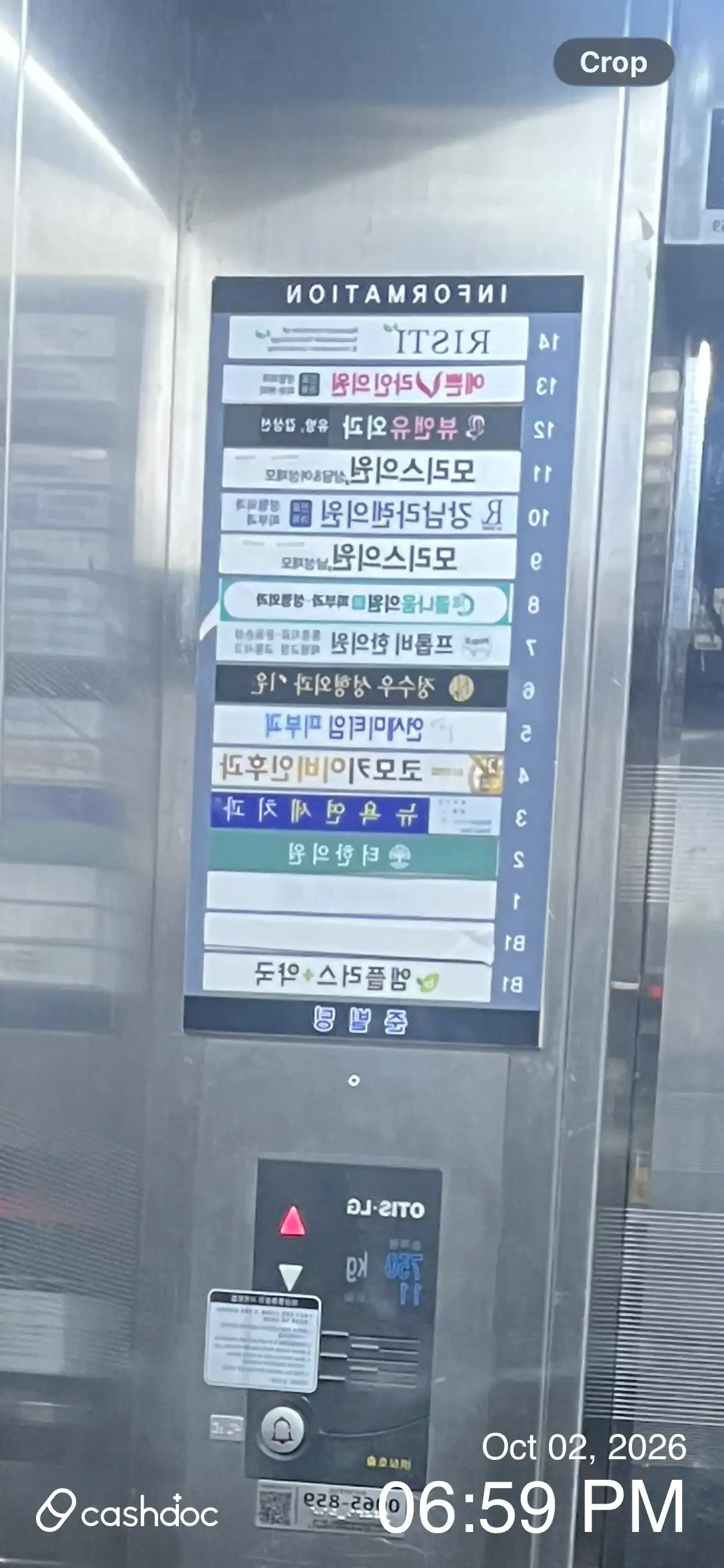 レビュー写真