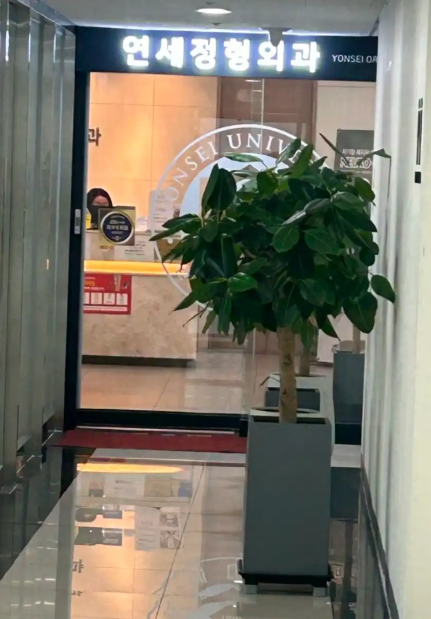 Yonsei Orthopedic Clinic 2