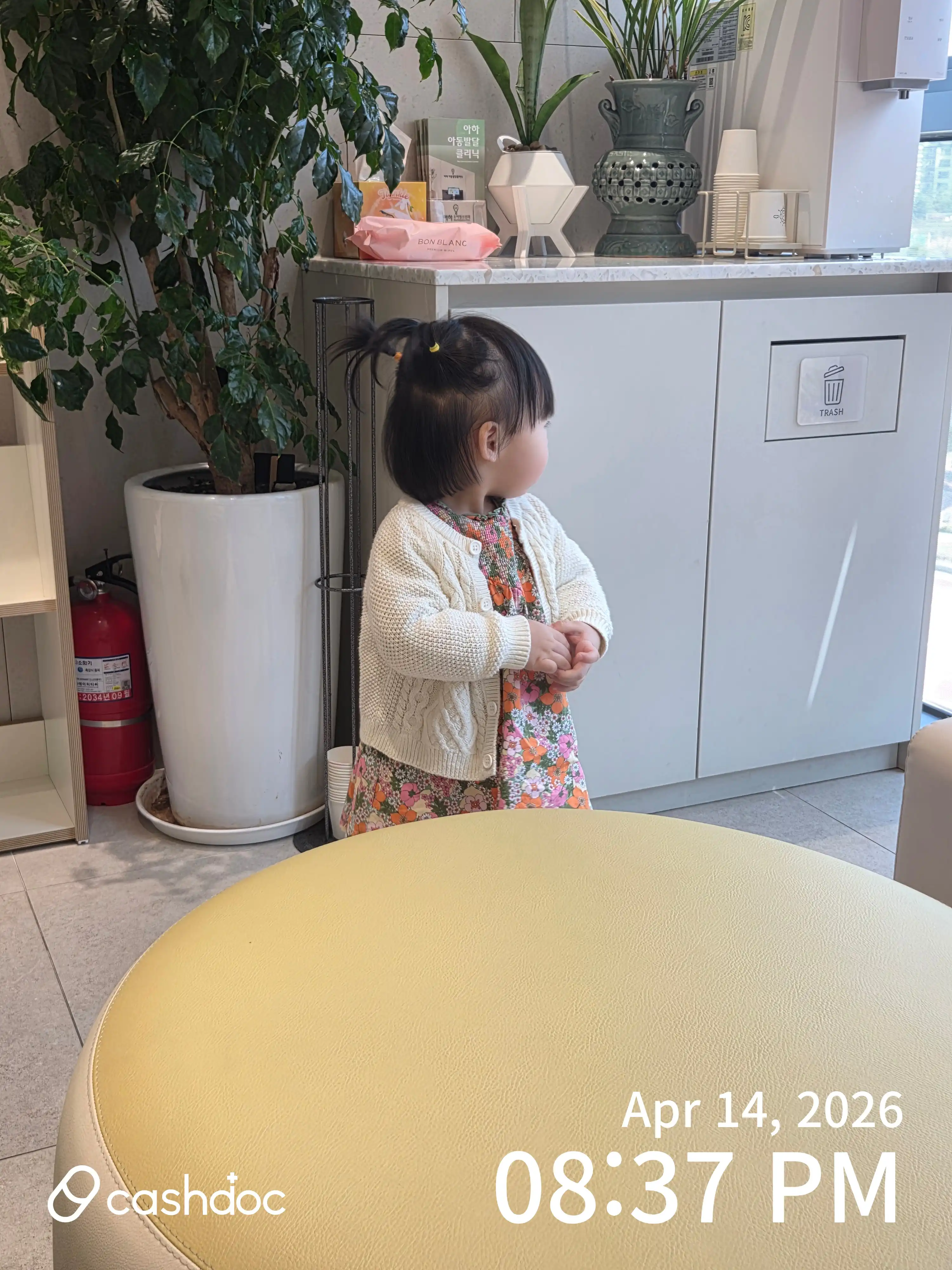 レビュー写真