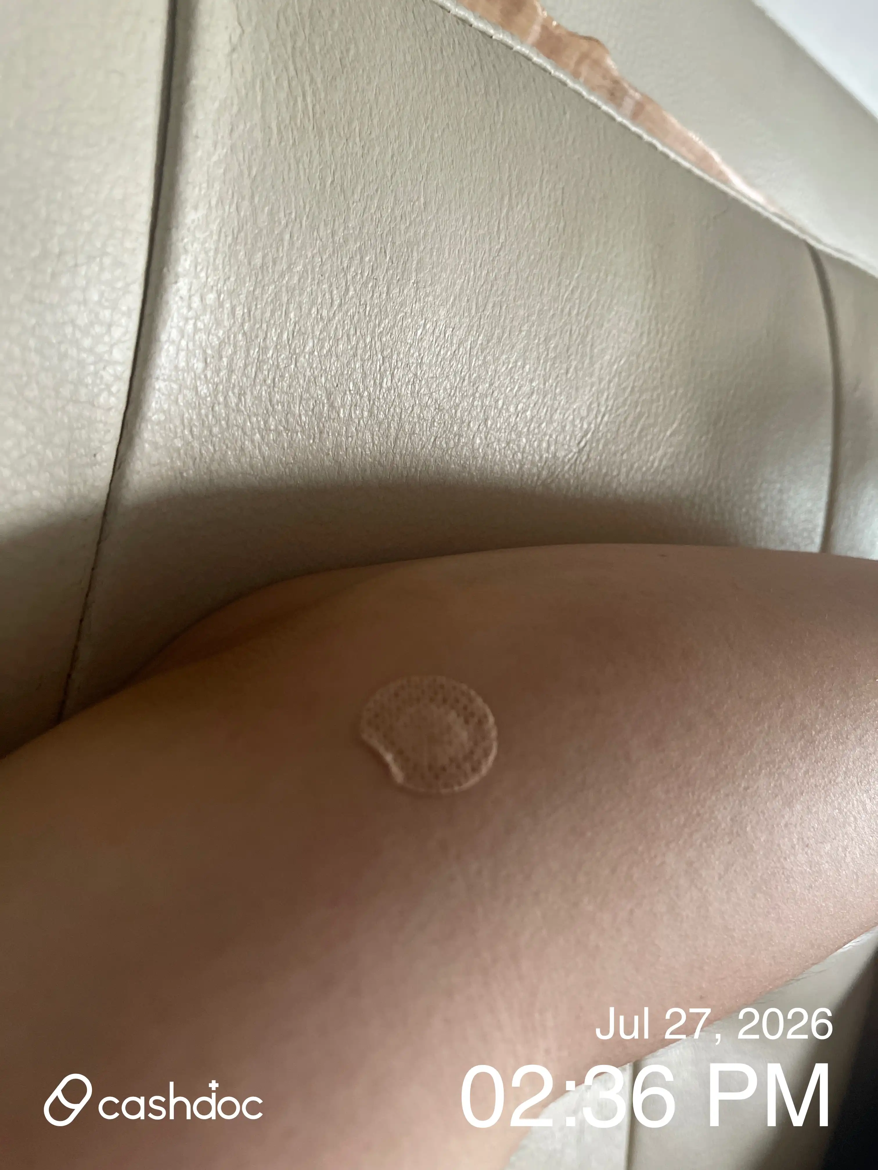 レビュー写真