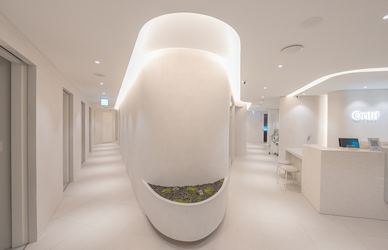 온리프성형외과 병원 정보 이미지