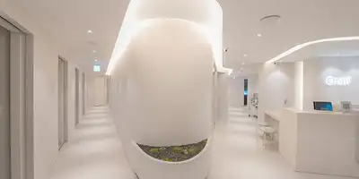 Only LIFting Plastic Surgery 병원 정보 이미지