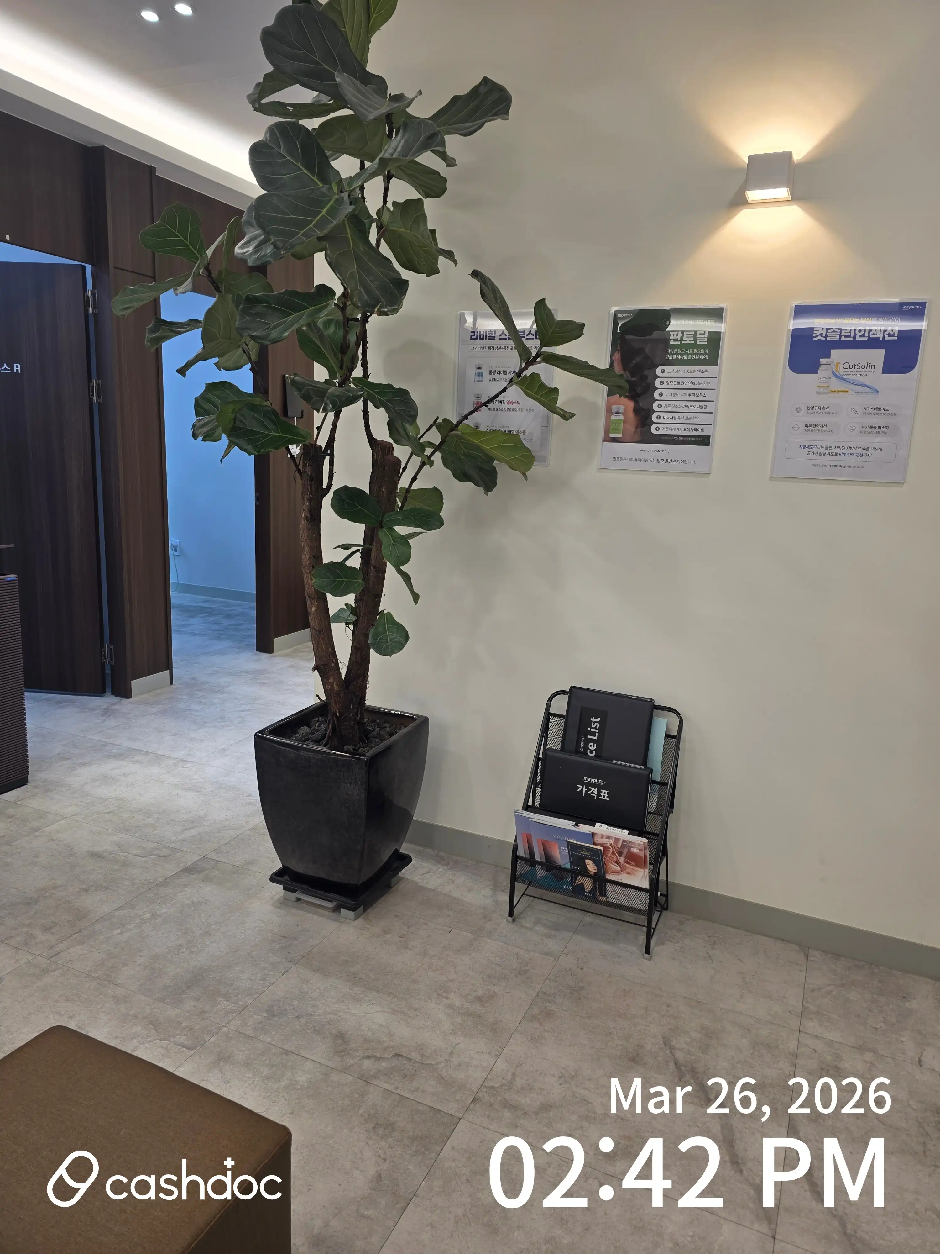 메이퓨어의원 진접점 18