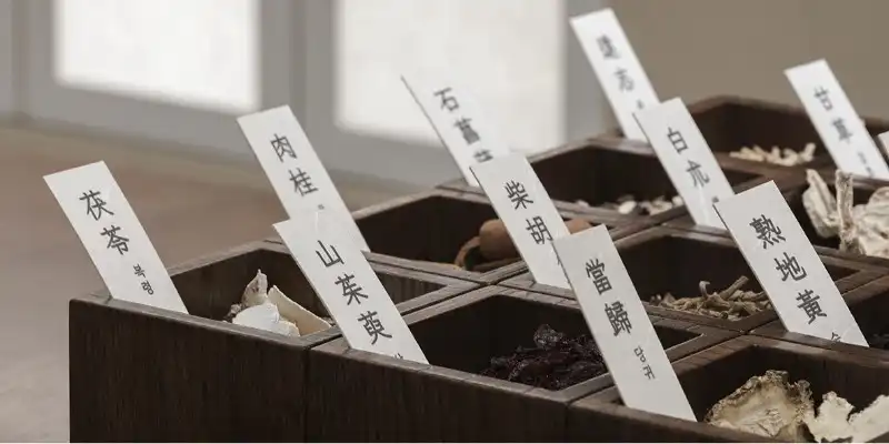 温柔堂韩医学 21