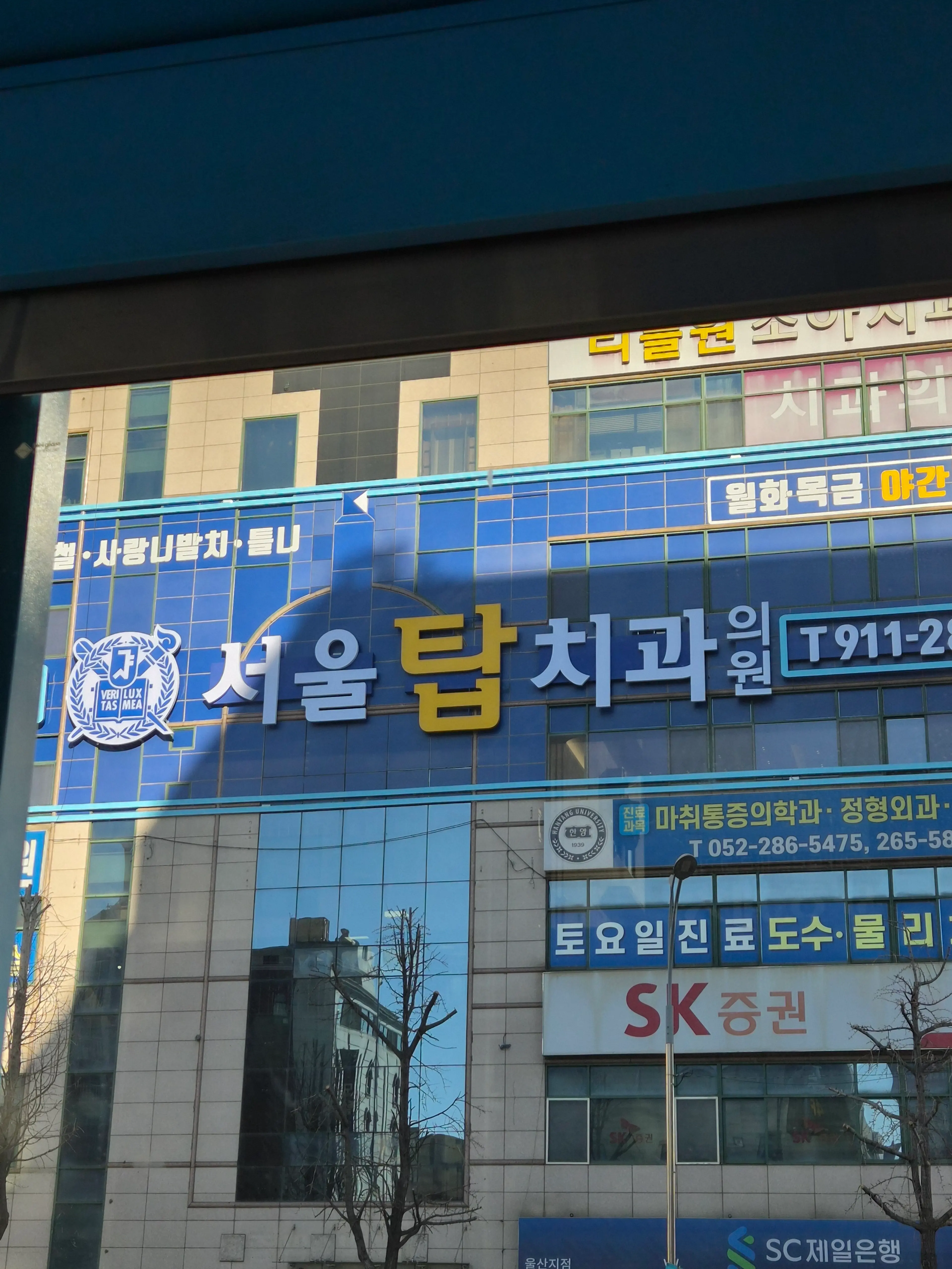 울산 서울탑치과 - 3