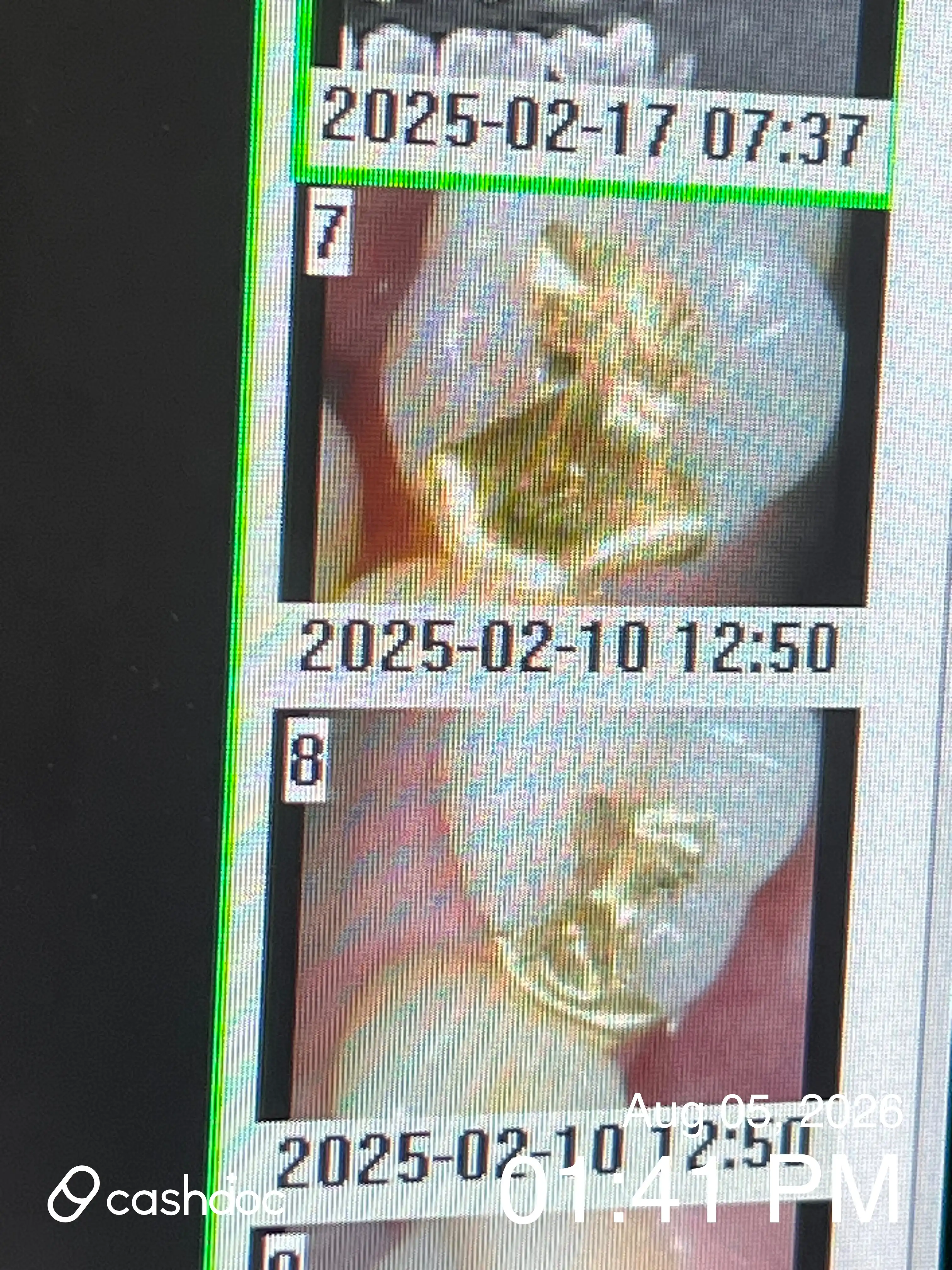 レビュー写真