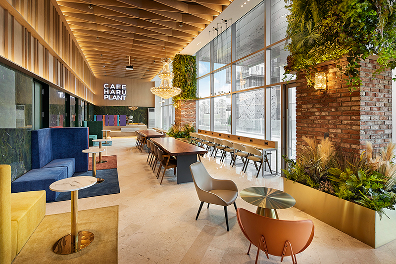 하루플란트치과 병원 정보 이미지