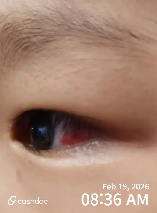리뷰 사진 1