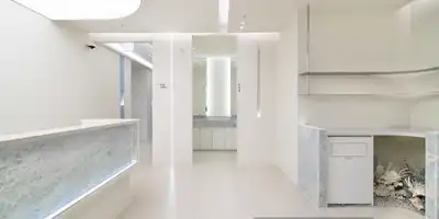 레브치과의원 병원 정보 이미지