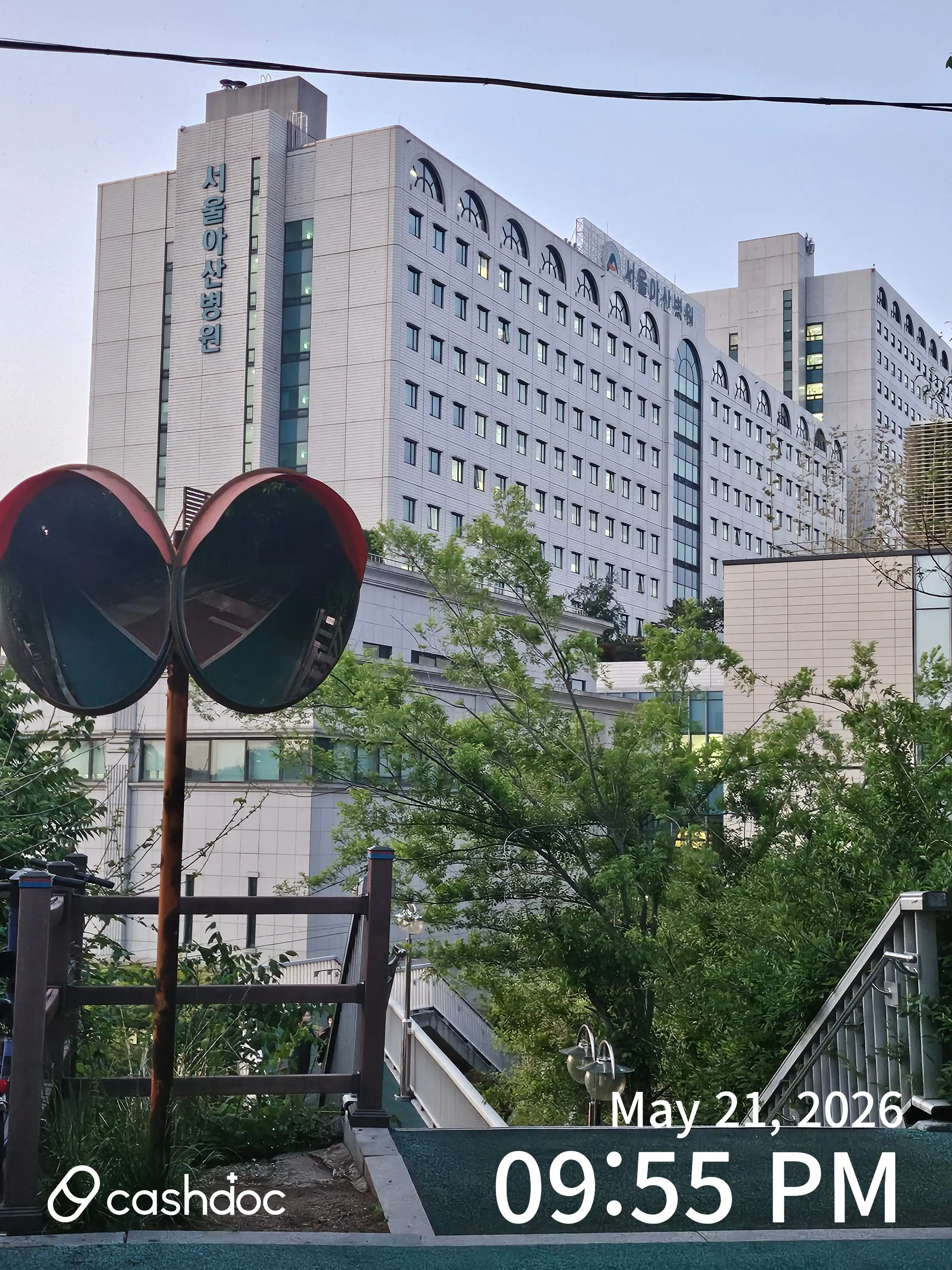 レビュー写真