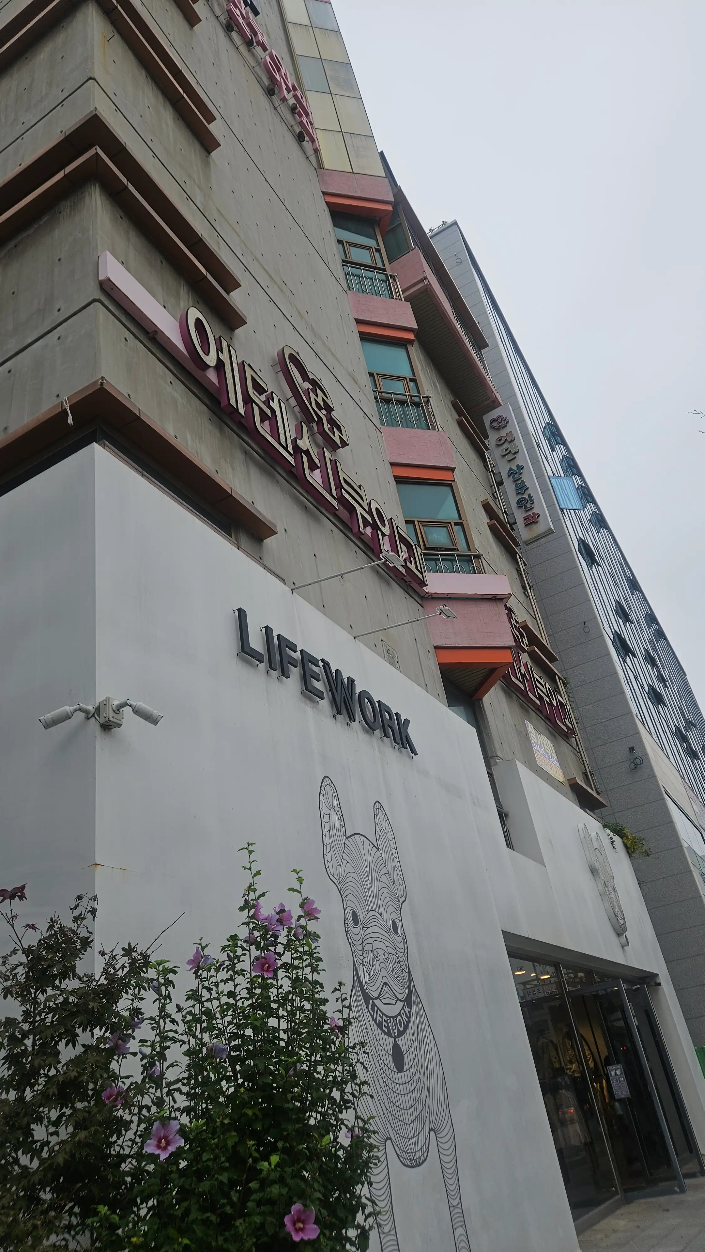 Cheongdam Korean Medicine Clinic 1
