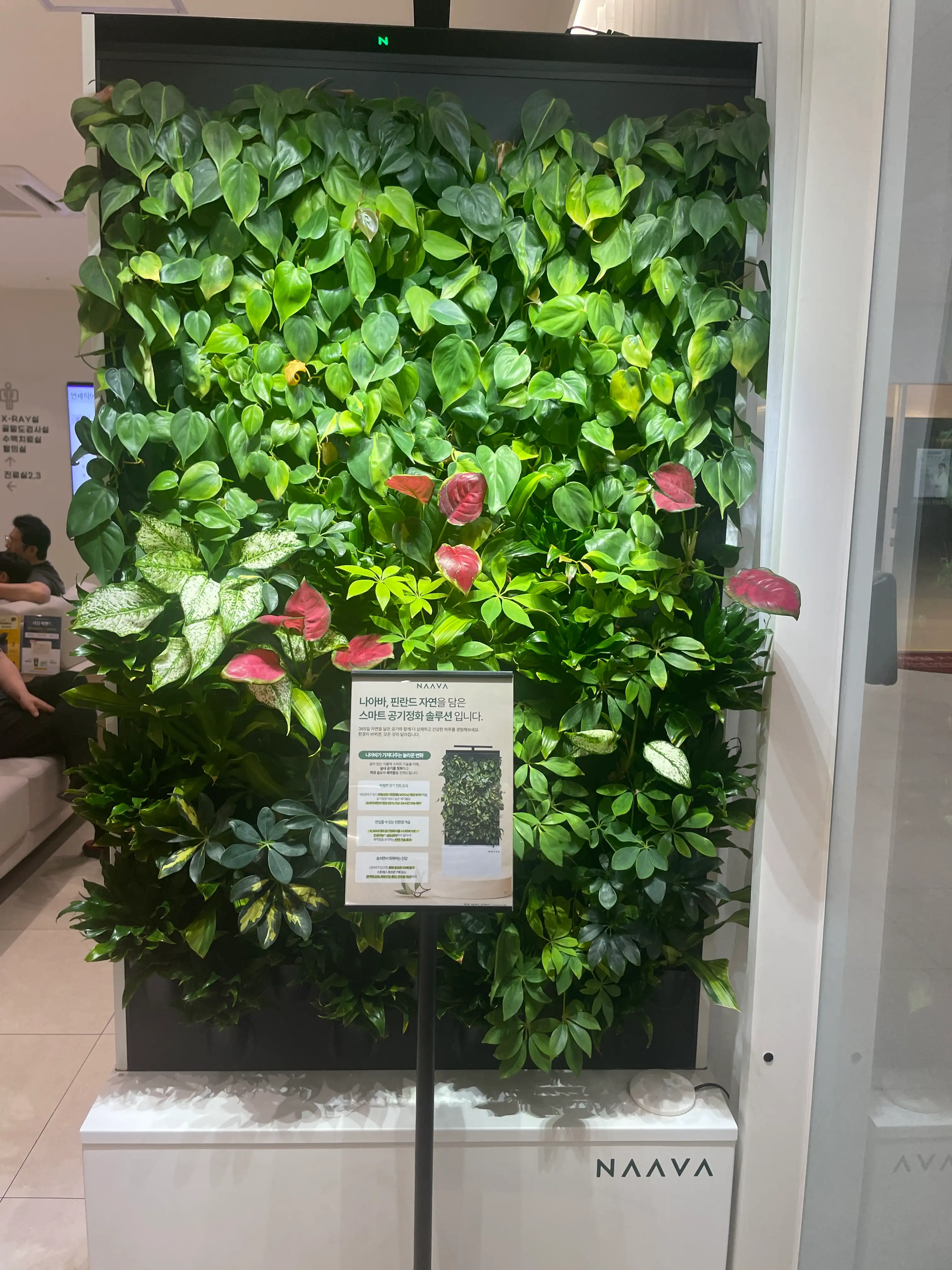 리뷰 사진 2
