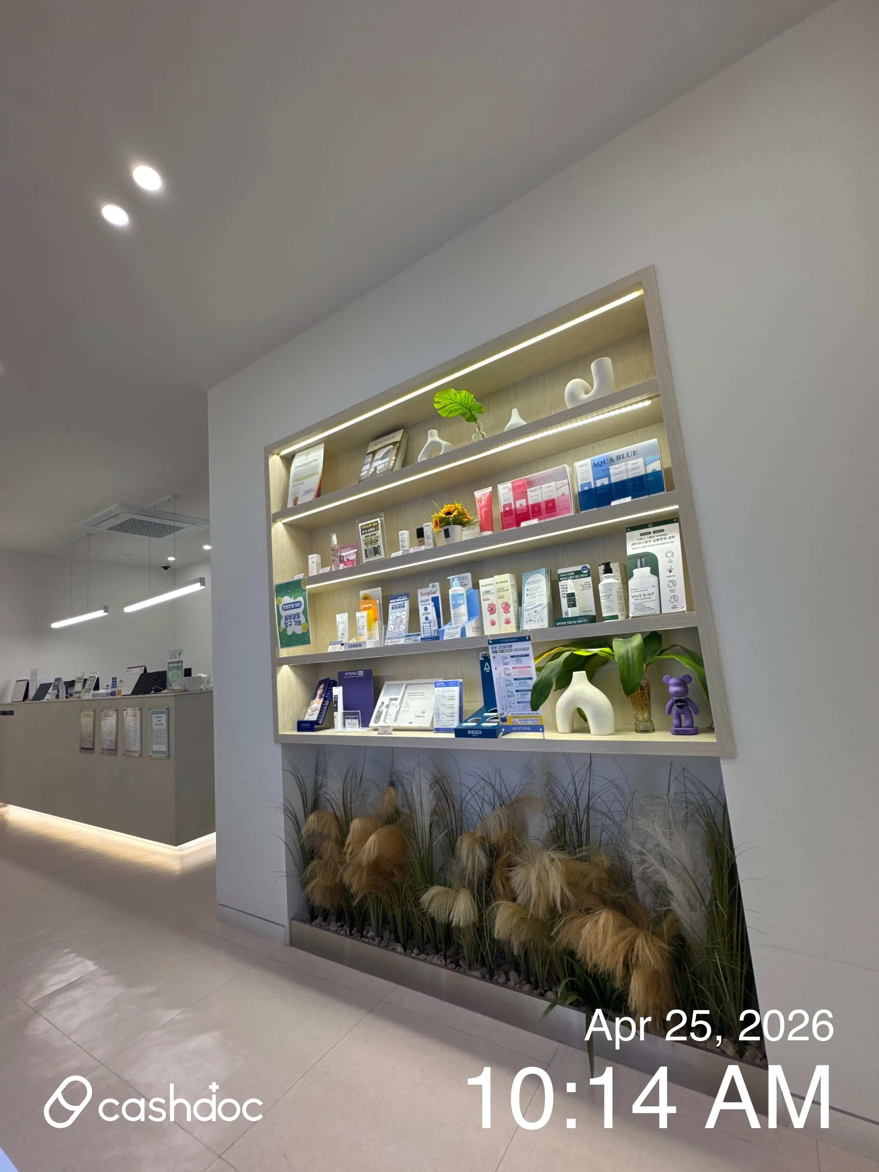 Pure Dream Clinic 11