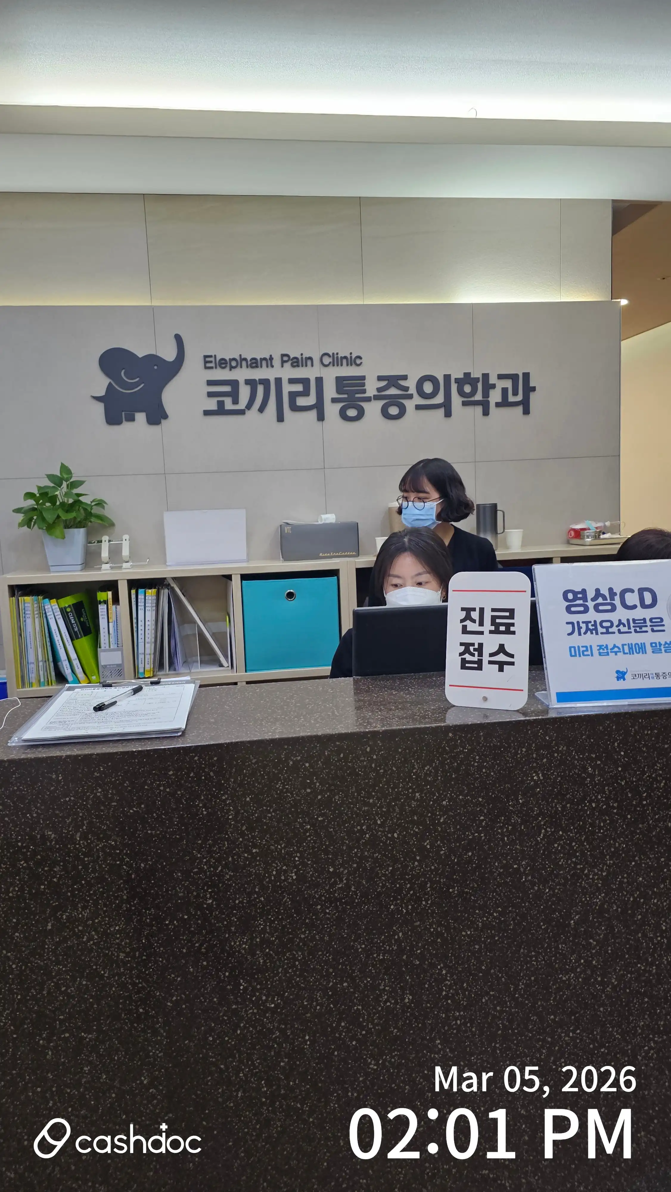Elephant Anesthesia and Pain Medicine Clinic 1