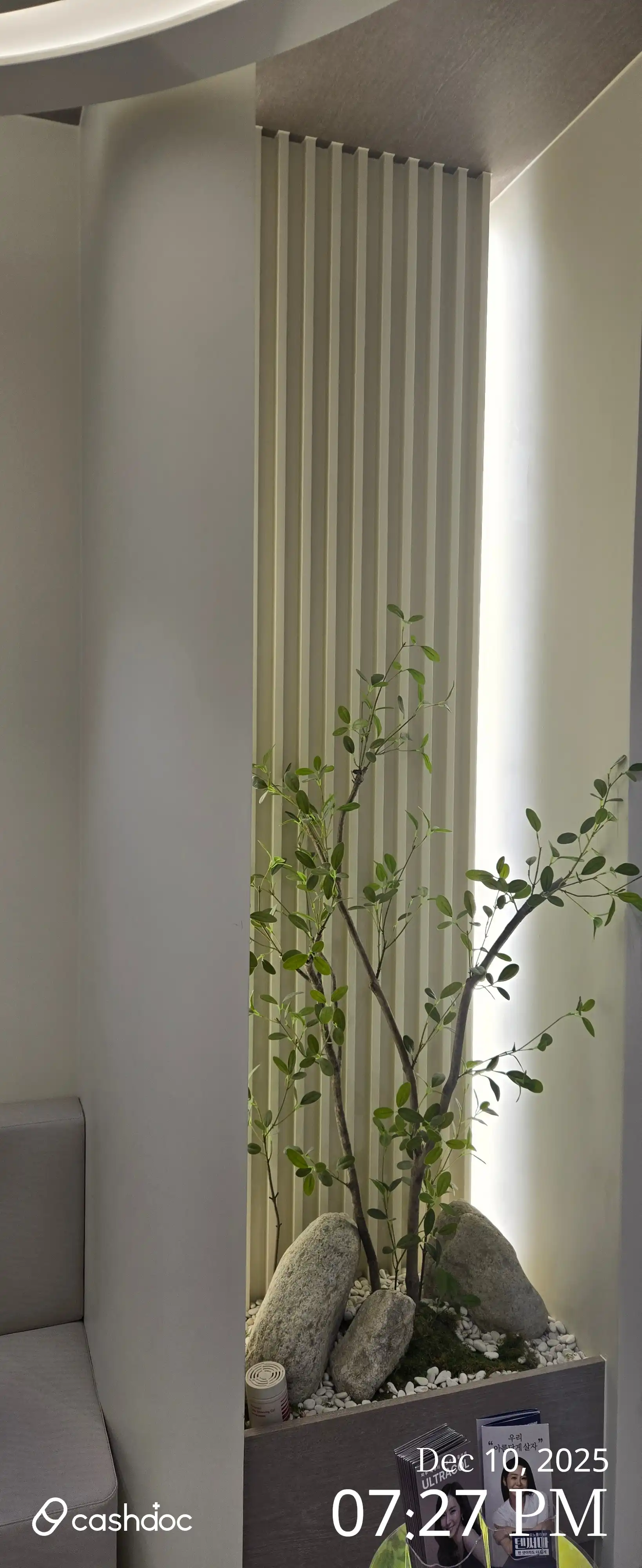 마이클래식피부과의원 2