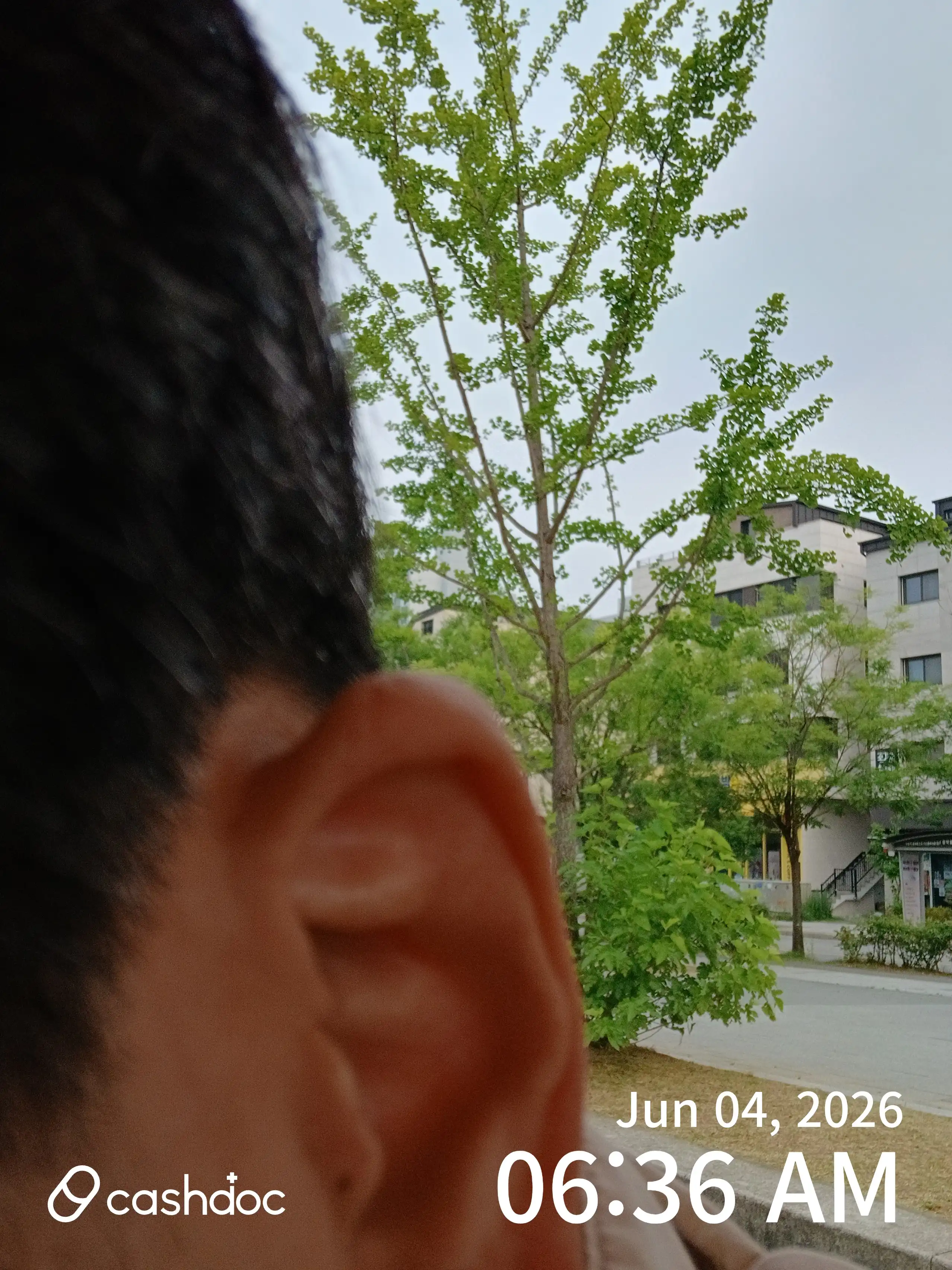 レビュー写真