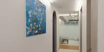 The Fix Plastic Surgery 병원 정보 이미지