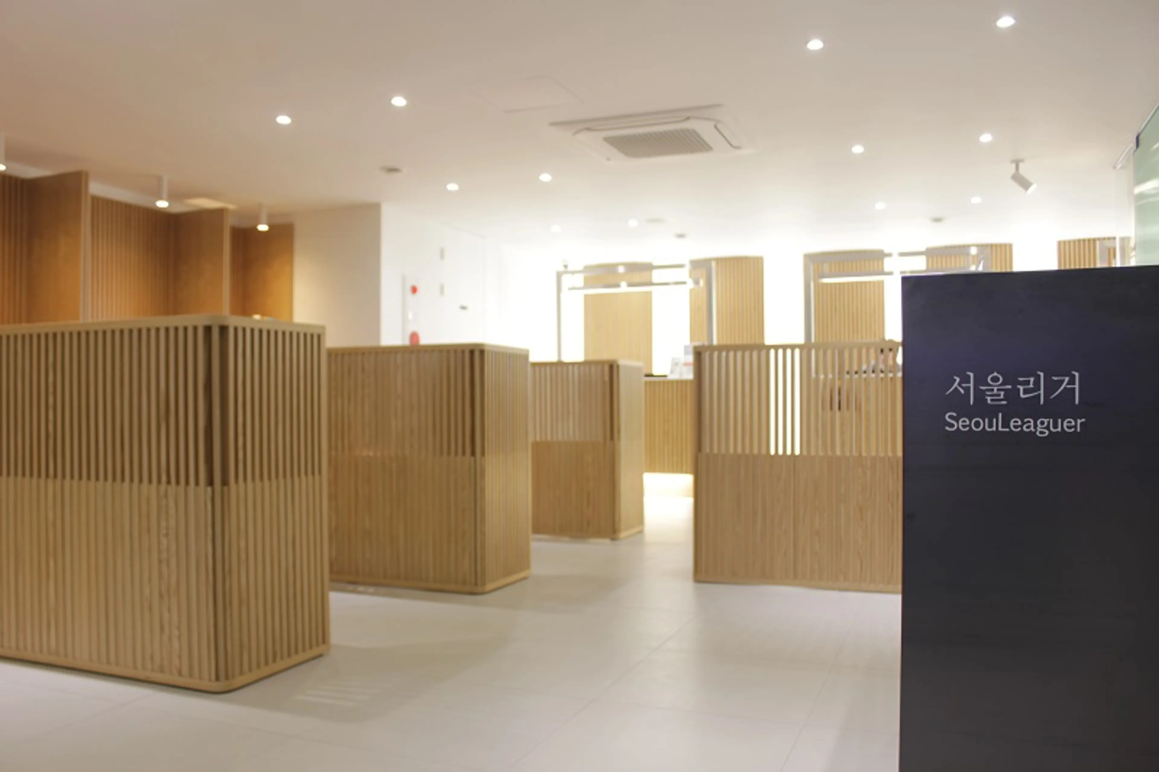 서울리거피부과의원 - 4