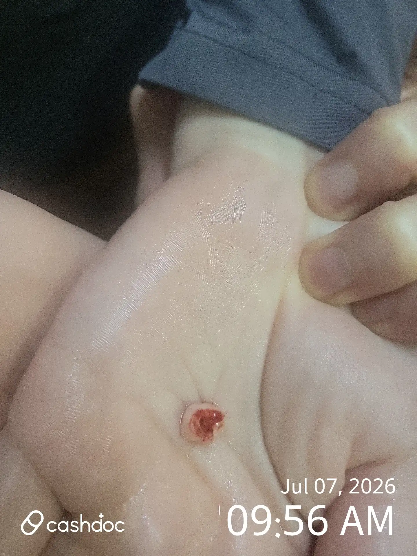 리뷰 사진