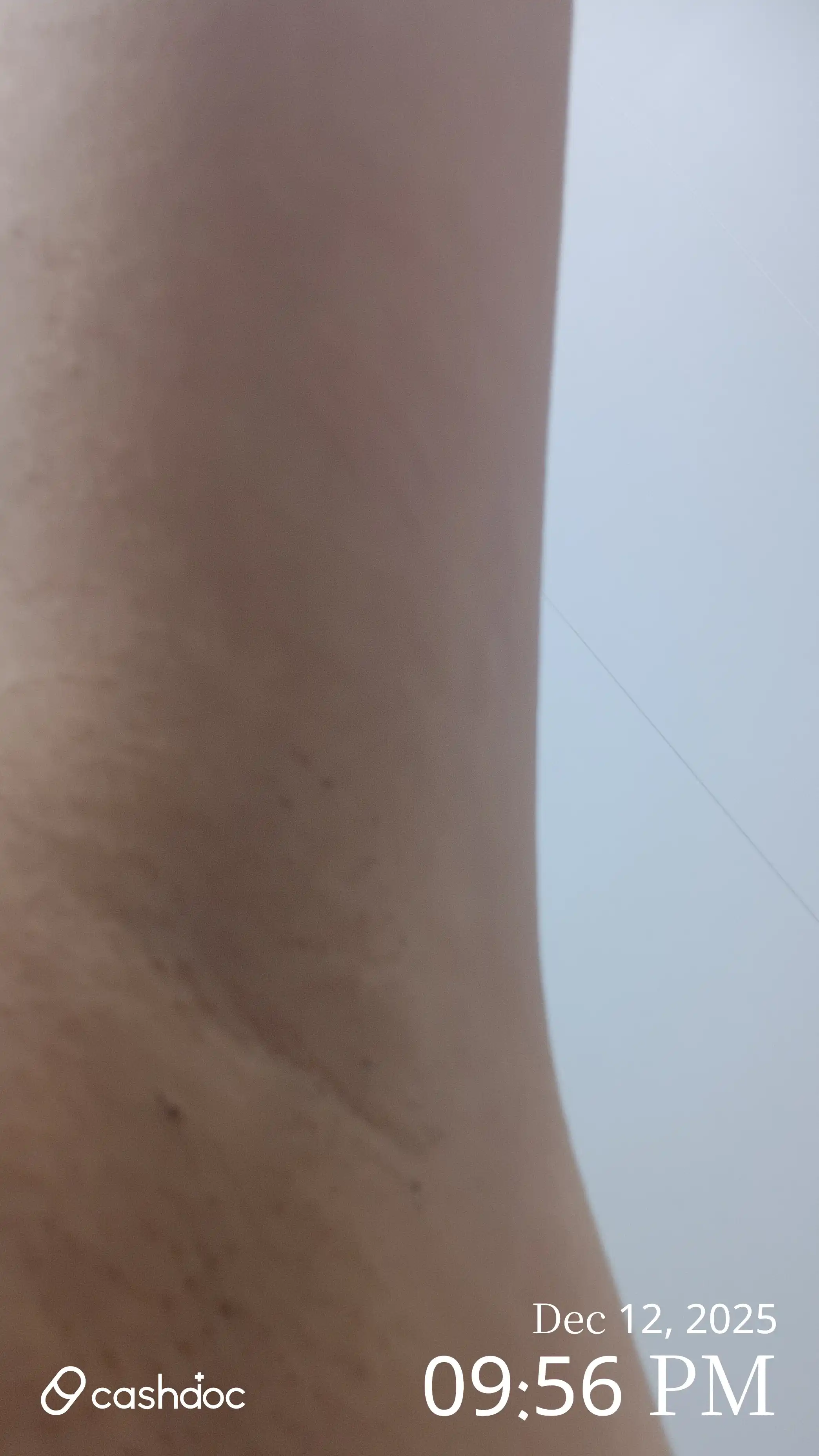 리뷰 사진 1