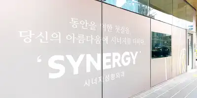 Synergy Plastic Surgery Clinic 병원 정보 이미지