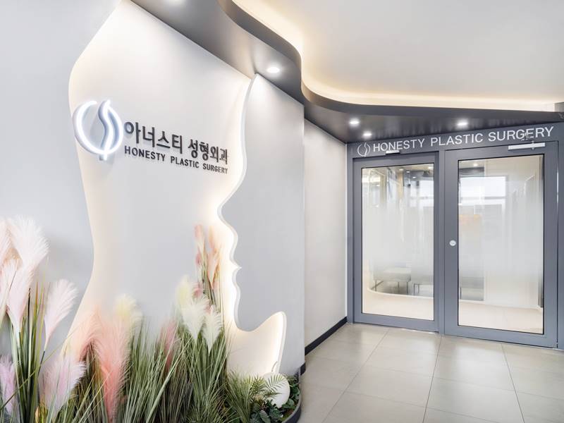 아너스티성형외과 병원 정보 이미지