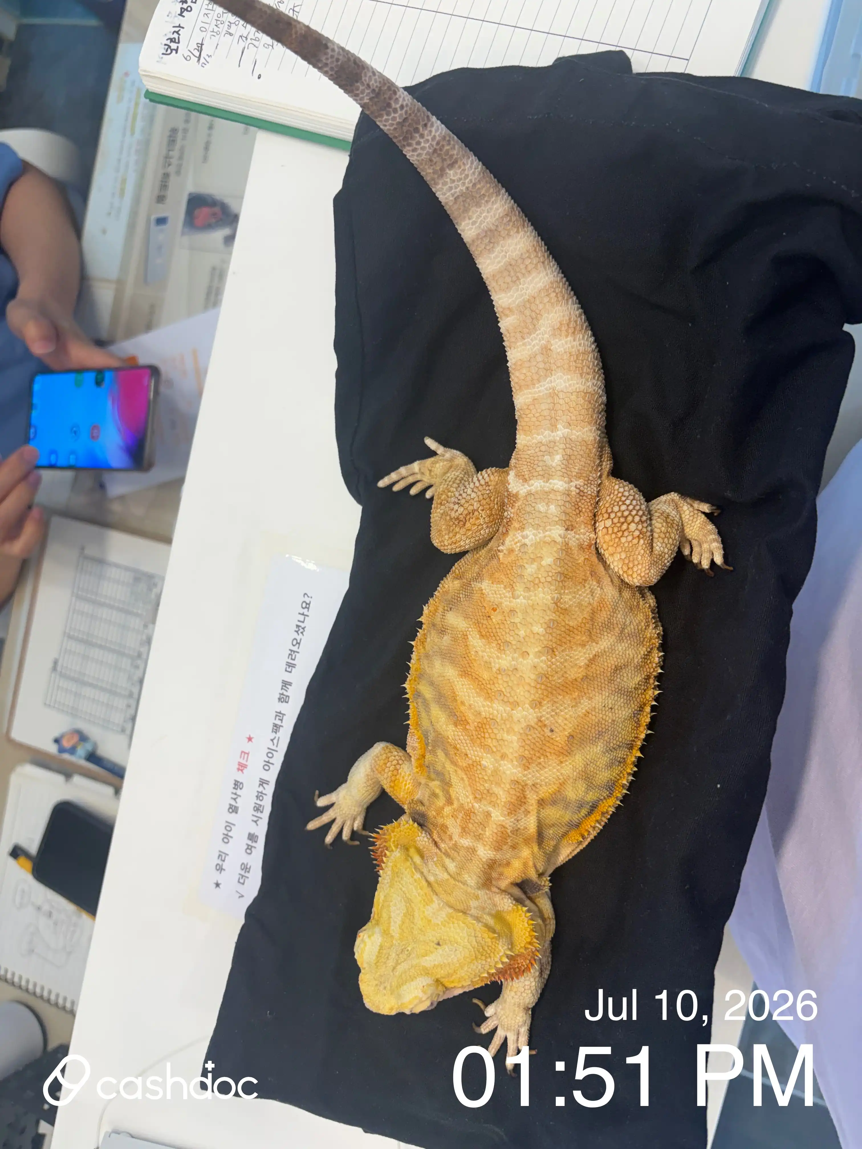 レビュー写真