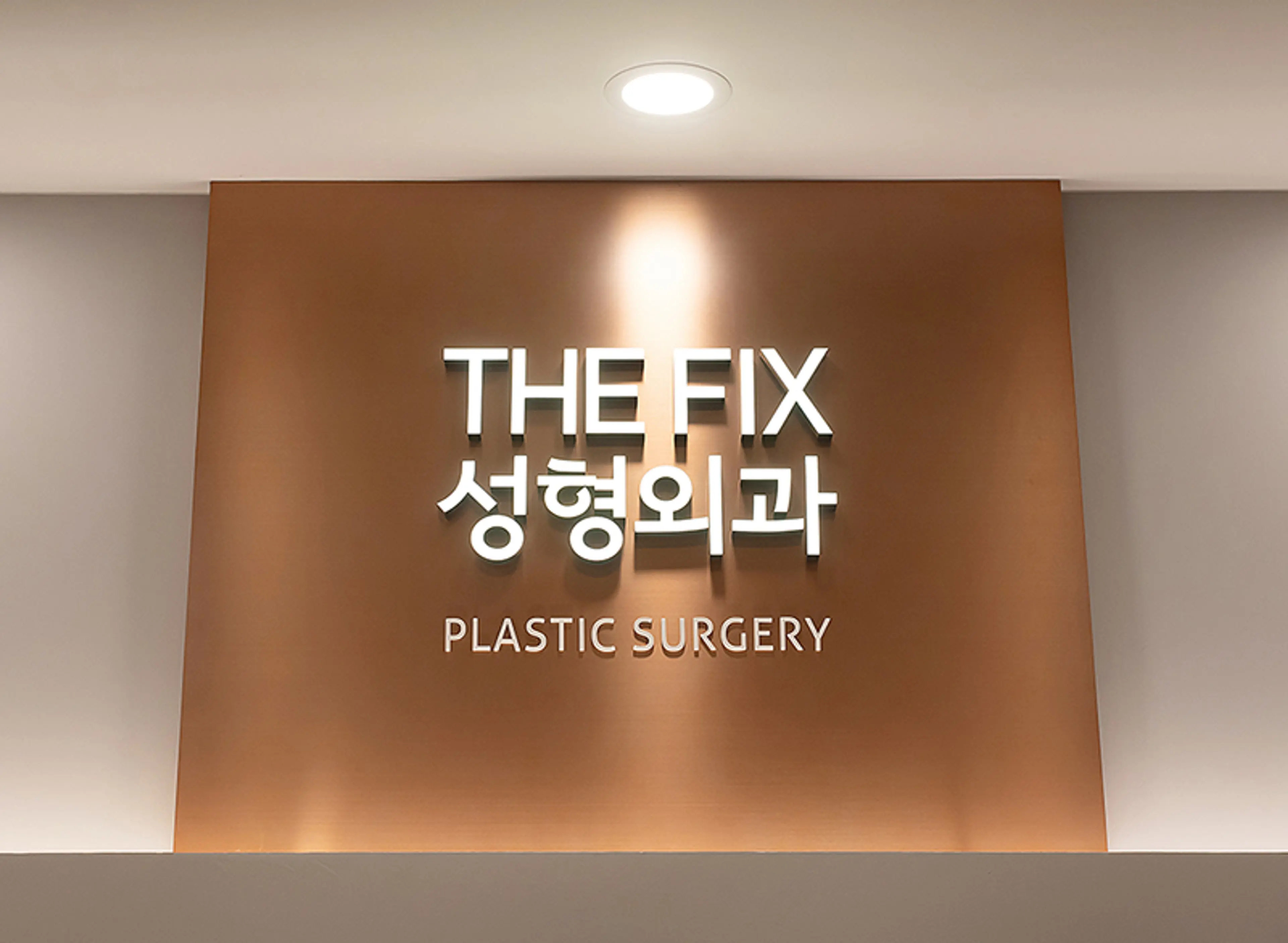 더픽스성형외과 - 1