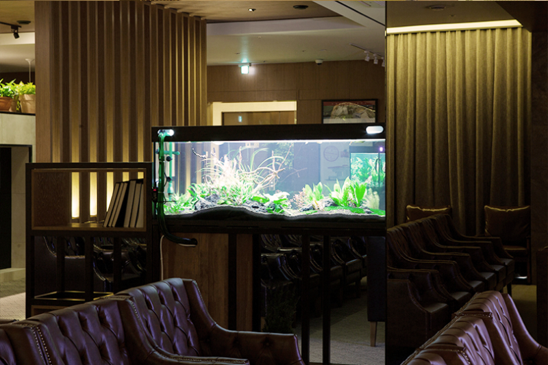 天空眼科医院 병원 정보 이미지