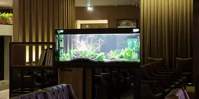 Sky Eye Clinic 병원 정보 이미지