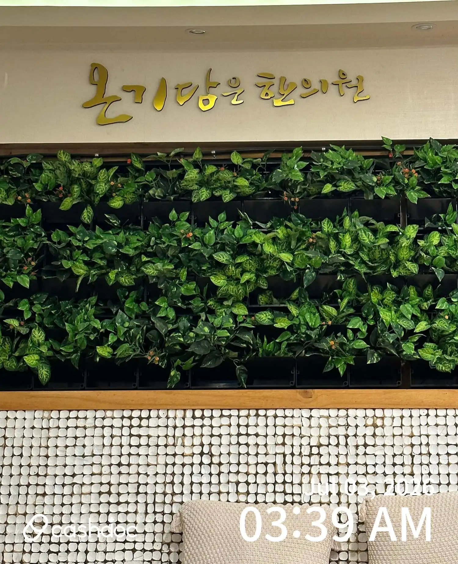 온기담은 한의원 2