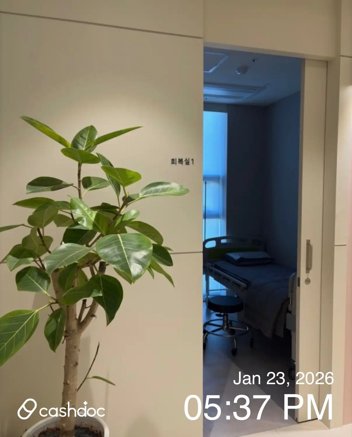 헤스티아여성의원 당산점 2