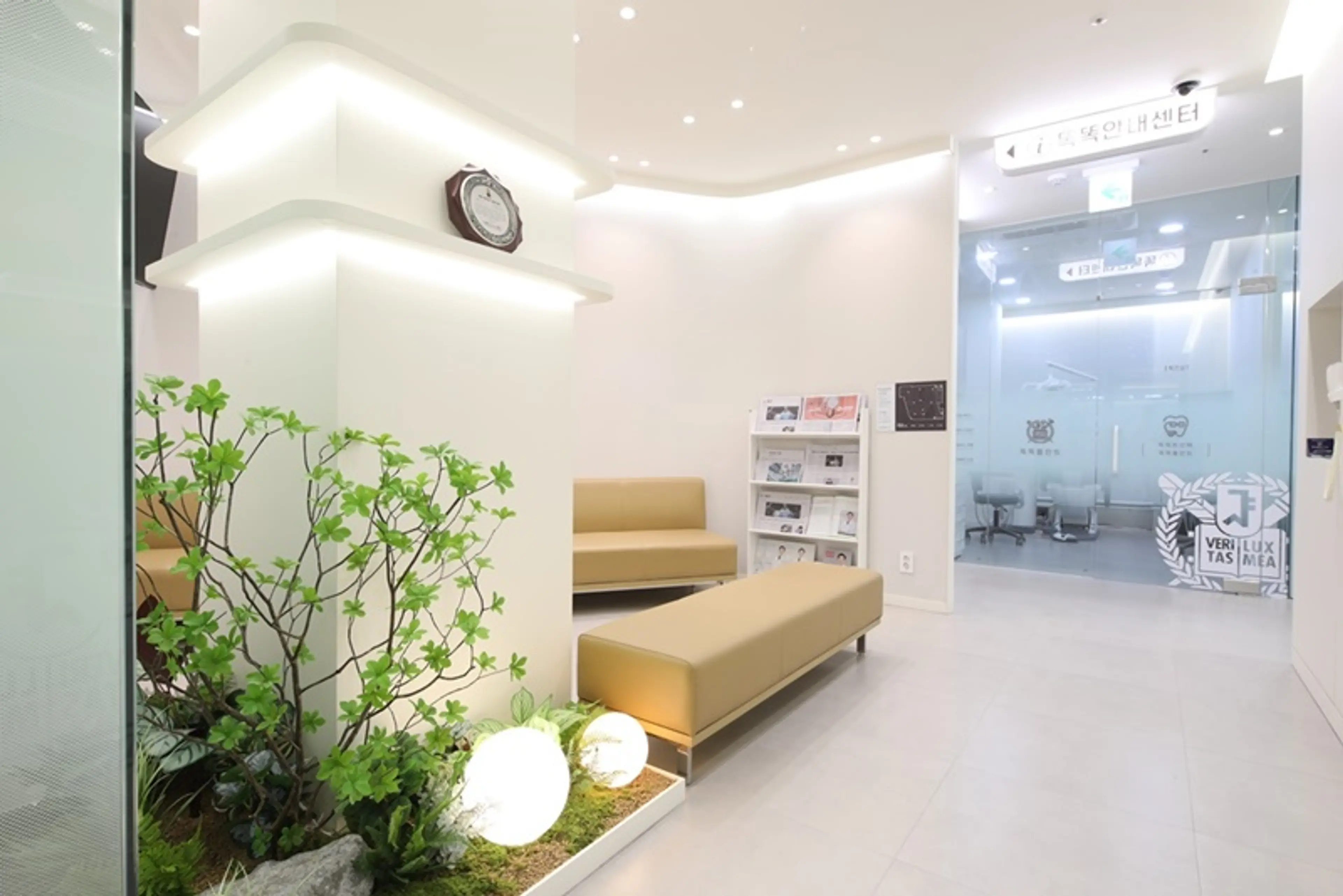 똑똑플란트치과의원 - 6