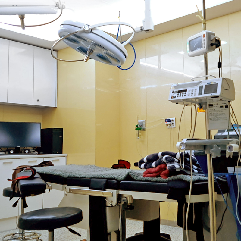 그날성형외과의원 병원 정보 이미지