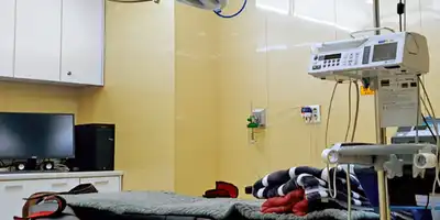 That Day Plastic Surgery Clinic 병원 정보 이미지