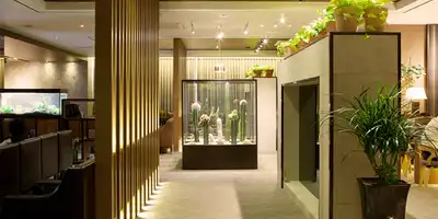 Sky Eye Clinic 병원 정보 이미지