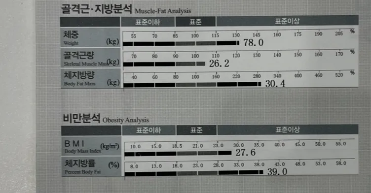 시술 전 — 다이어트한약, 감비환스틱