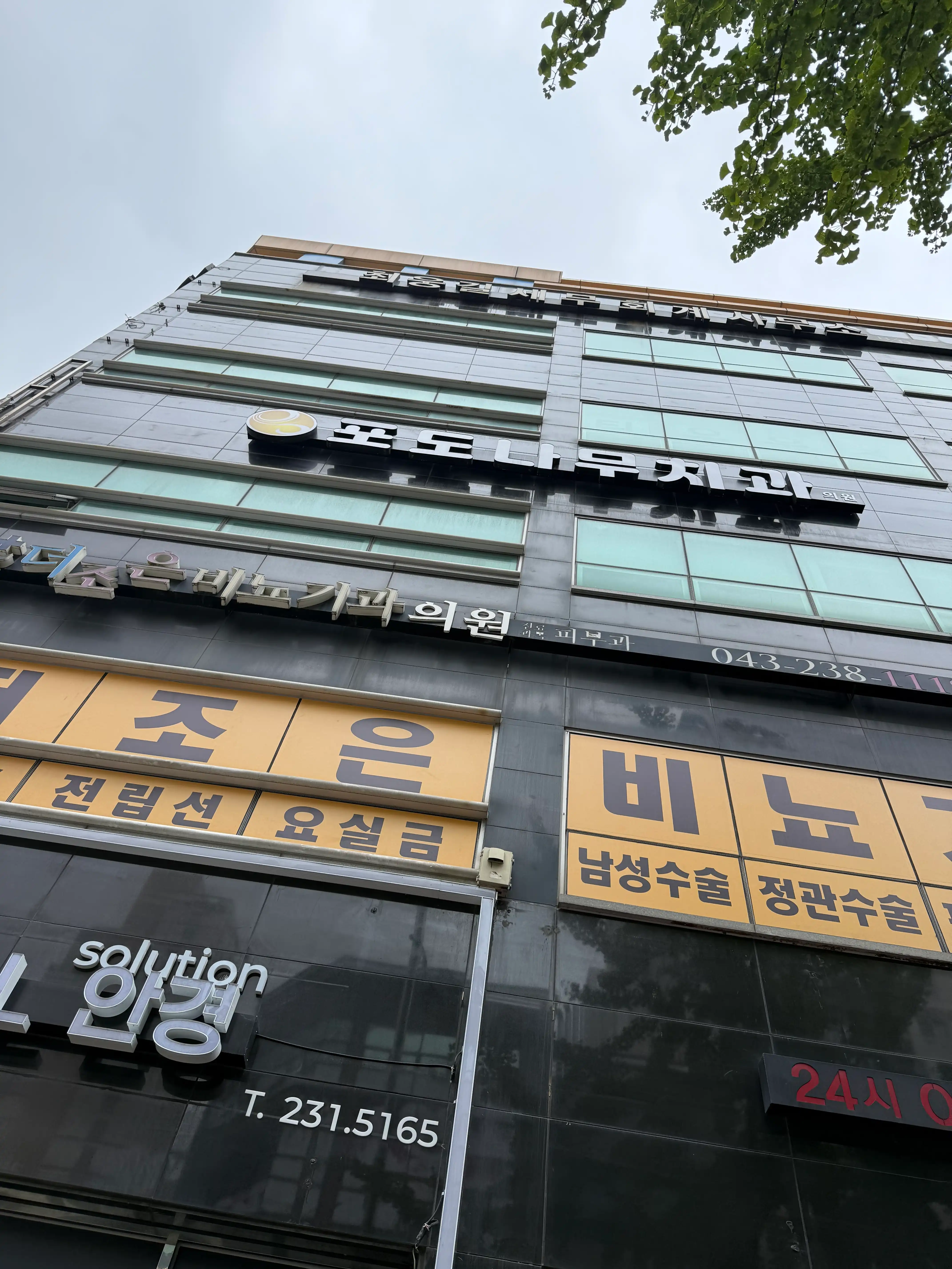 Vine Dental Clinic 1