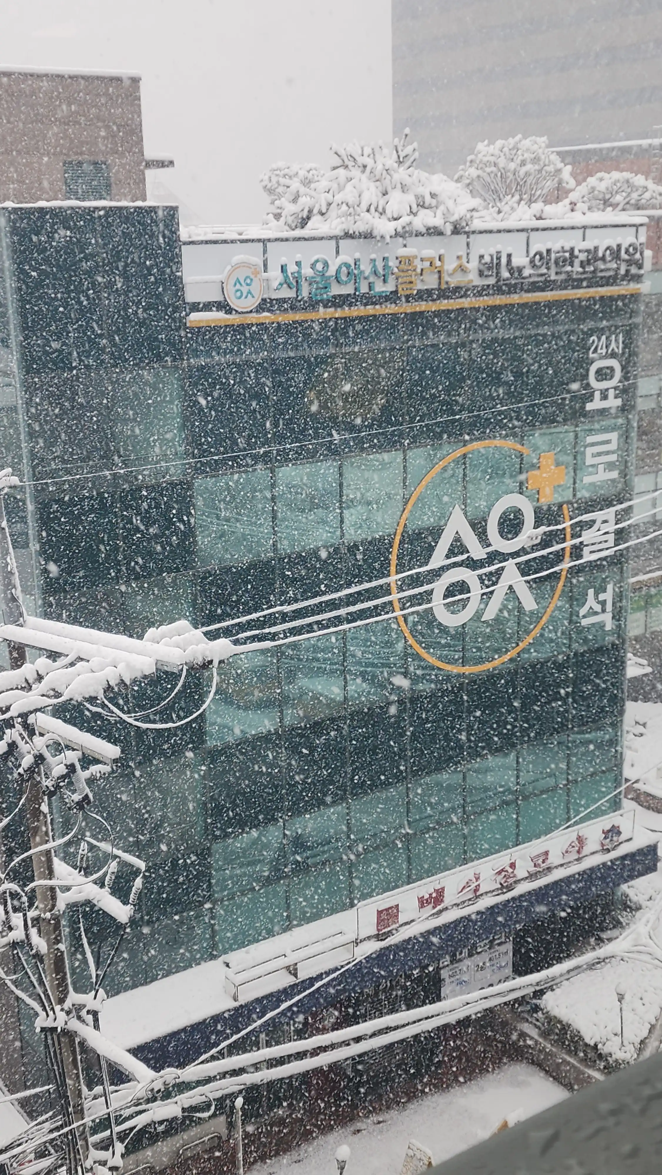 Seoul Asan Plus Urology Clinic 2