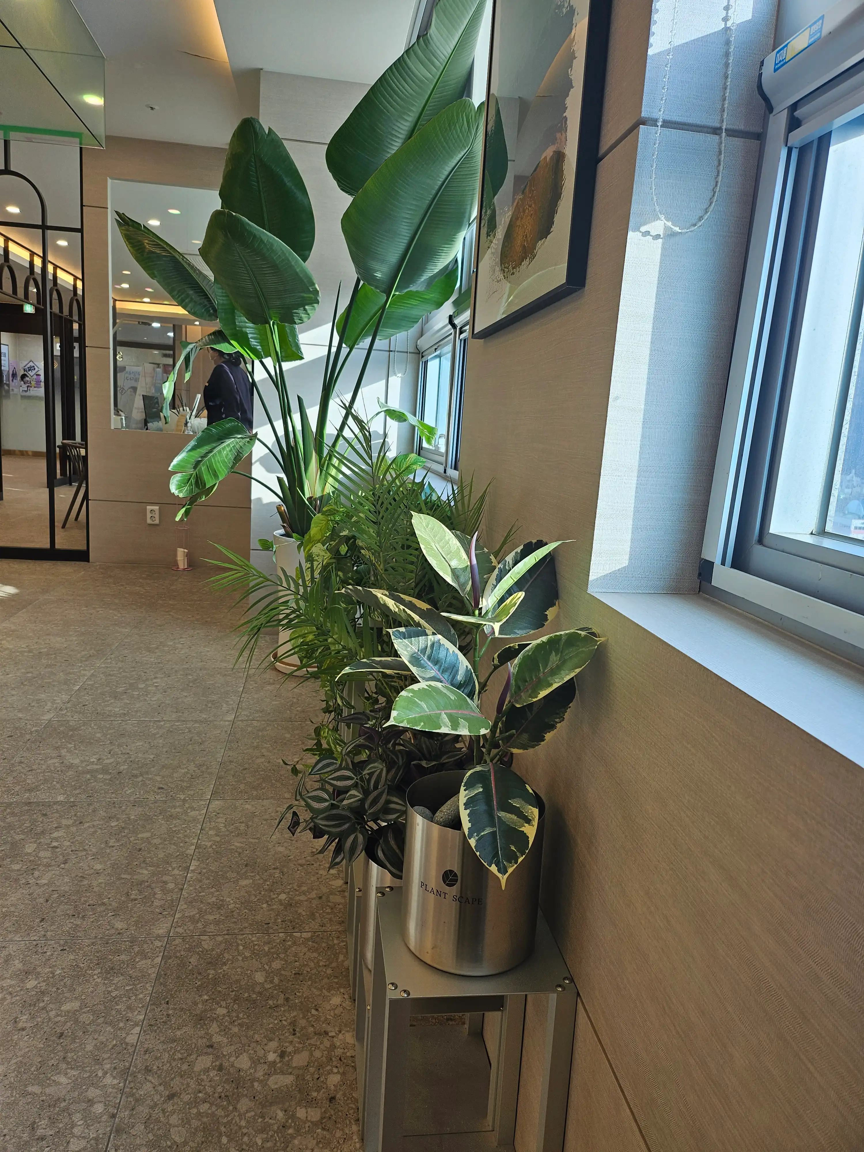 365드림의원(광주) 52